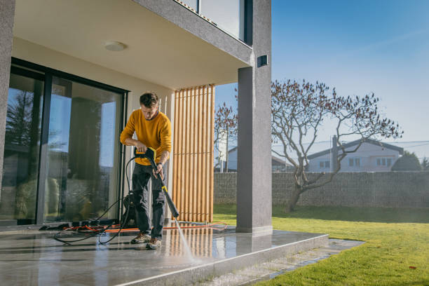 Best Pre-Holiday Cleaning  in New Freedom, PA